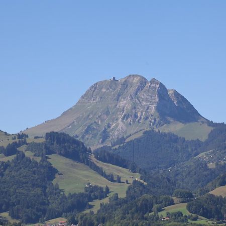 Refuge De Plan-Francey Hotel Moleson Kültér fotó