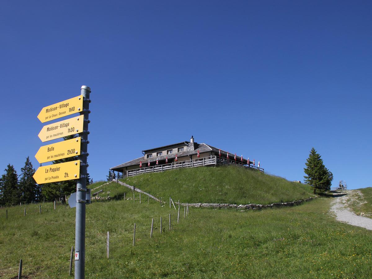 Refuge De Plan-Francey Hotel Moleson Kültér fotó